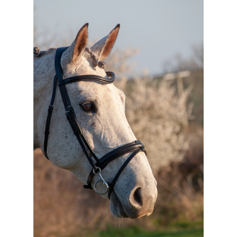 Henry James Comfort Flash Bridle - Black-2